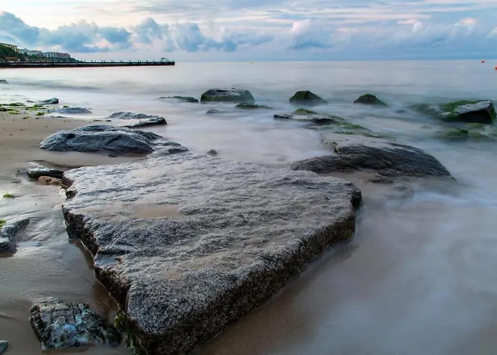 Liliya * スヴェティ・ヴラス